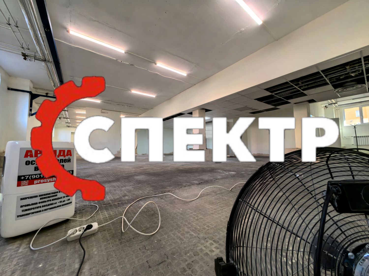 Сушка цокольного этажа во время покраски — профессиональные осушители