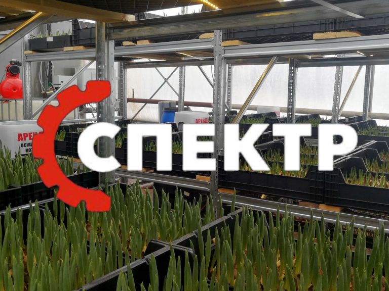 Контроль влажности в теплицах для рассады тюльпанов и клубники